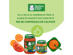 Piure cu pere Gerber Bio, de la 4 luni, 80 g