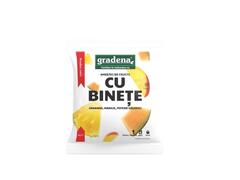 Gradena Amestec de fructe cu binete ananas, mango, pepene galben 250 g