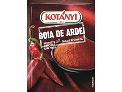 Boia de ardei afumata 25g Kotanyi