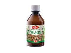 FARES PATALAGINA SIROP 250ML