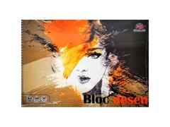 Bloc Desen A3 30 File160G