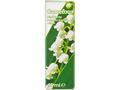 Rezerva Carrefour Mini Spray Cu Parfum De Lacramioare 15 Ml