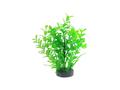 Planta decorativa pentru acvariu Micranthemum 19 cm