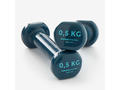 Gantere Fitness 0,5 kg x 2 Bleumarin