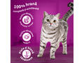 Whiskas Sterile hrana uscata cu somon pentru pisici adulte 1.4kg