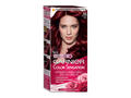 Vopsea De Par Color Sensation Garnier 4.60 - Rosu Inchis Intens