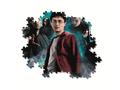 PUZZLE 500 PIESE HARRY POTTER