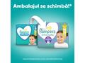 Scutece Active Baby Marimea 7 15+kg 44 bucati Pampers