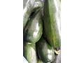 Dovlecei zucchini verzi vrac per kg