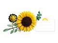 LEGO® Botanicals - Buchet de florile-soarelui (11502)