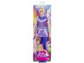 Papusa Ken print, Barbie Dreamtopia, HLC23