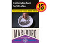 Marlboro Cigarillos Forest Mist