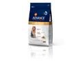 Hrana uscata pentru caini Advance Dog Yorkshire Terrier 1.5 kg