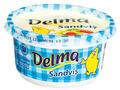 Margarina Sandvis 20% grasime 250 g Delma