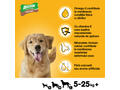 Pedigree Biscrok Gravy Bones hrana complementara pentru caini adulti 400 g