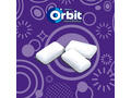 Orbit Professional Strong Mint guma de mestecat cu arome de menta si mentol 12 buc 16,8 g