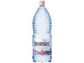 Apa Minerala Naturala Plata Borsec,2 L