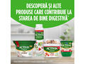 Iaurt de baut, cu Bifidus, cereale integrale fructe de padure 2x6x320g Activia