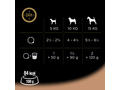 Cesar hrana umeda pentru caini adulti, pate, cu curcan si vita 150 g