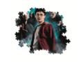 PUZZLE 500 PIESE HARRY POTTER