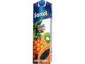 Santal juice fructe exotice fara zahar 1l