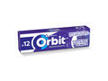 Orbit Professional Strong Mint guma de mestecat cu arome de menta si mentol 12 buc 16,8 g