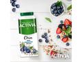 Iaurt de baut afine chia Activia 320g