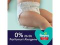 Scutece chilotel de noapte Night Pants Marimea 5 12kg-17kg 22 bucati Pampers