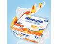 Humana Iaurt Cu Piersici 4X100G, 6+