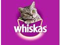 Whiskas hrana umeda pentru pisici junioare, selectii clasice in sos de carne 4 x 100g