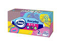 Servetele faciale Zewa Everyday, 2 straturi, 100 bucati, diverse modele