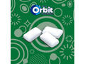 Orbit Professional Spearmint guma de mestecat cu aroma de menta 12 buc 16,8 g