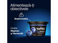 Iaurt cu afine Yopro, 160 g
