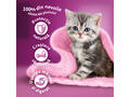 Whiskas Junior hrana uscata cu pui pentru pisici junioare 1.4kg