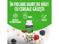 Iaurt de baut, cu Bifidus, cereale integrale fructe de padure 2x6x320g Activia