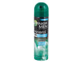 Deodorant roll-on Extreme  Garnier pentru barbati  50ml