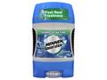 Deodorant antiperspirant gel Mennen Speed Stick Power of Nature Avalanche 85g