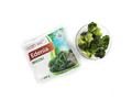Broccoli 100% natural  Edenia 450 g