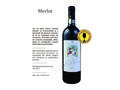 VIN MERLOT VIA MARIA 750 ML