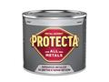 Vopsea alchidica/ email Protecta All Metals, platina, interior/exterior, 0.5L