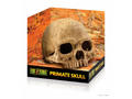 Decor pentru terariu Exo Terra Primate Skull 14.2x16.2x16.2cm