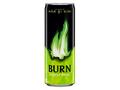 Burn Apple Kiwi 0.25L