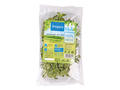 Oregano 30g Carrefour per punga