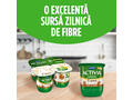 Iaurt cu nuci & ovaz Activia 125 g Danone