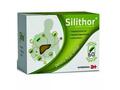 Silithor, Antibiotice SA