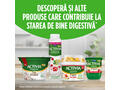 Iaurt Mic Dejun Natur Fulgi Cereale 163G Activia