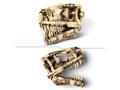 LEGO® Jurassic World - Fosile de dinozaur: craniu de T-rex (76964)