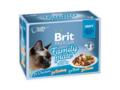 Hrana umeda pentru pisici Brit Premium Family Plate Gravy 12 plicuri X85g