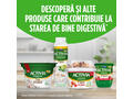 Iaurt de baut cu capsuni si kiwi Activia 320 g Danone
