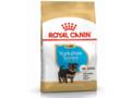 Hrana uscata pentru caini Royal Canin Yorkshire Puppy 500 g